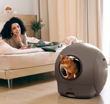 Why Spaceship II Is the Safer, Smarter Choice for Your Cat Families？