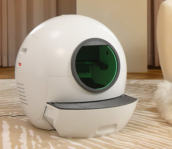 cat and auto litter box