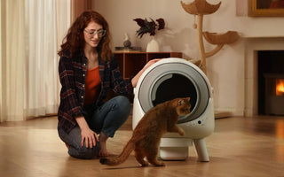 Why Every Modern Cat Parent Needs a Smart Litter Box Like Orbitie