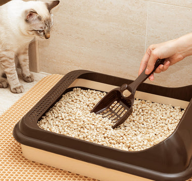 Traditional Litter Boxes vs. Self-Cleaning Litter Boxes