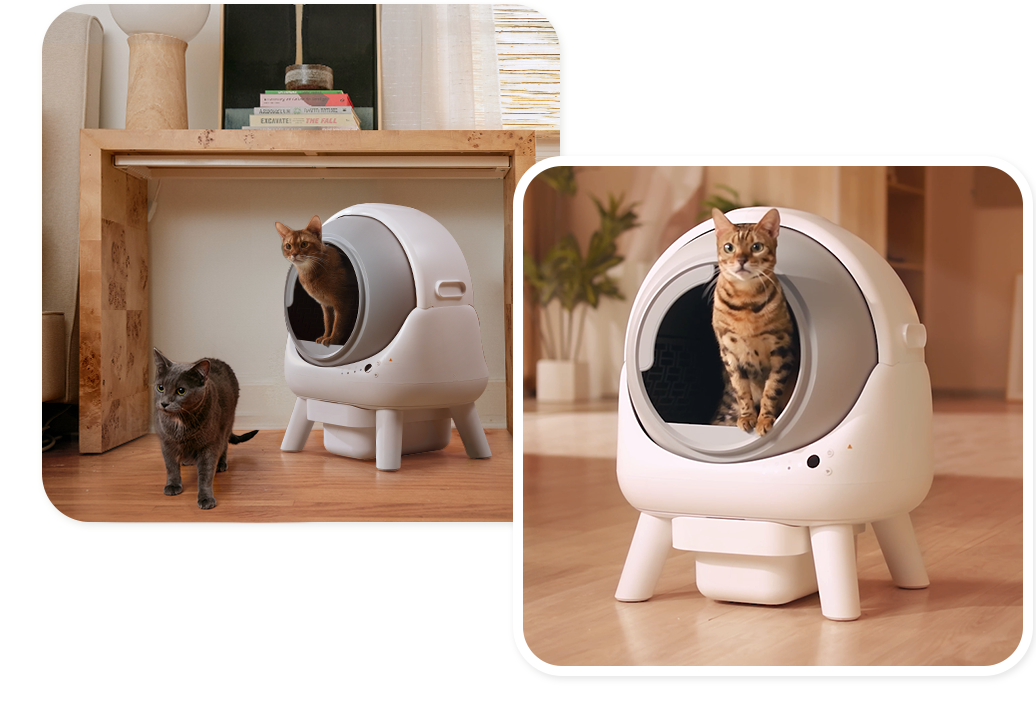 SELF CLEANING LITTER BOX