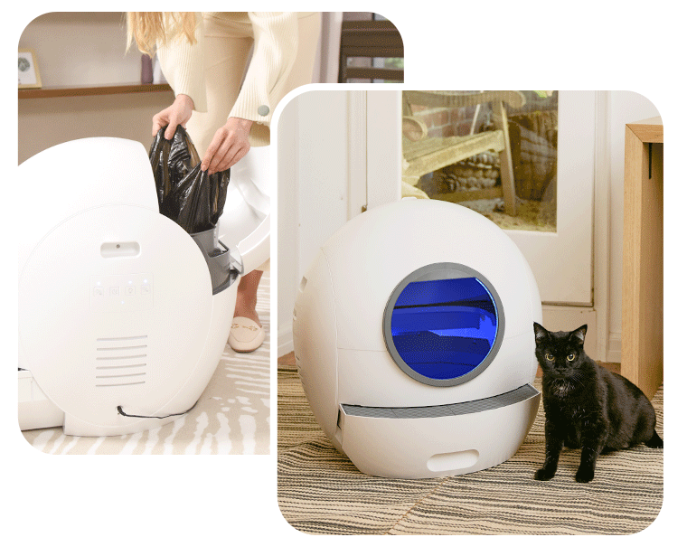 Petsmart self cleaning cat clearance litter box