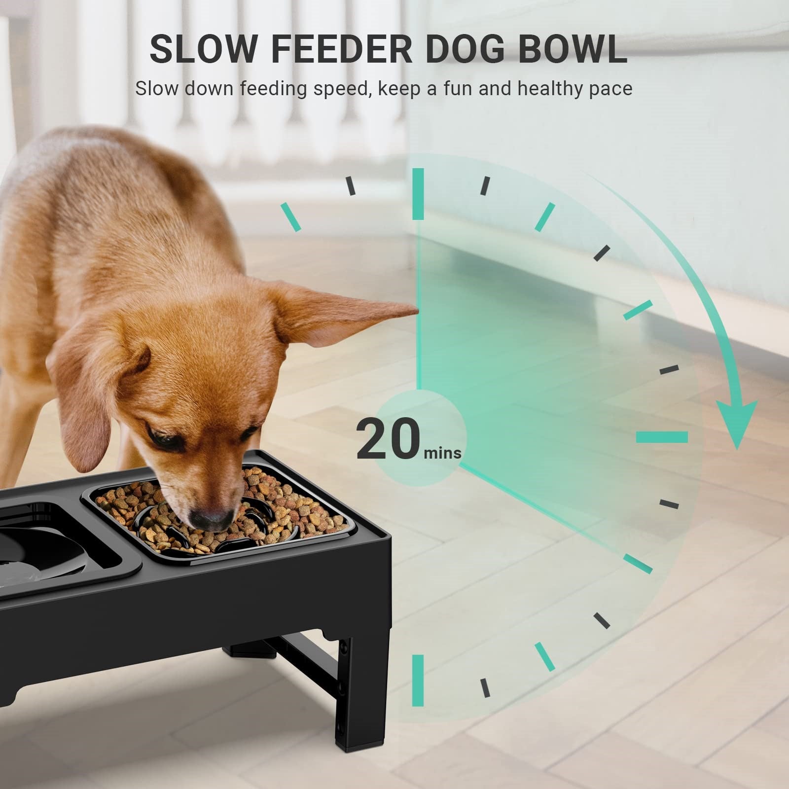 Raised Dog Bowl Stand Feeder Adjustable Elevated - Pet Clever